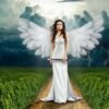 angel, sword, woman, wings, angel wings, storm, stormy clouds, nature, clouds, grasslands, mysticism, god, revenge, evil, fantasy, photo manipulation, angel, angel, angel, angel, angel, woman, wings, god, god, fantasy